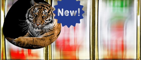 Relax Gaming Welcomes 2022 Tiger Kingdom Infinity Reels